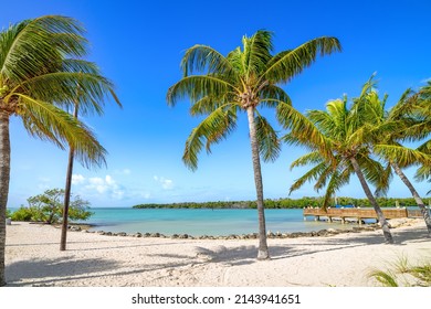 The Beautiful Sombrero Beach At Marathon, Florida