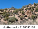 A beautiful Sonora desert landscape picture