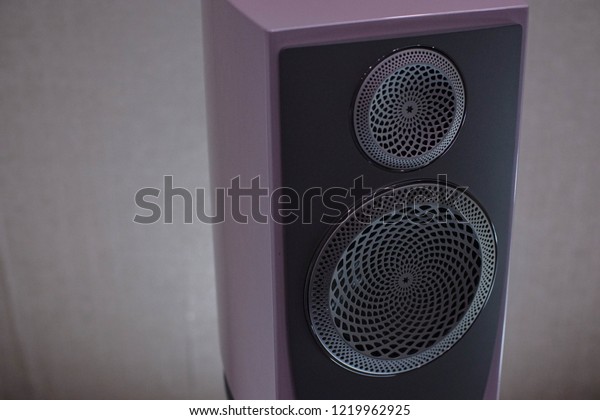 Beautiful Sounding High End Bookshelf Speakers Stock Photo Edit