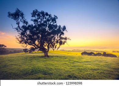 Beautiful South Australian sunrise over rural field