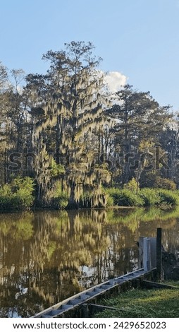 Beautiful South Louisiana Nature Photos 