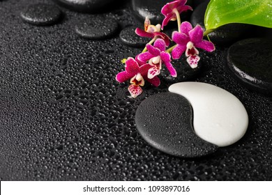 Beautiful spa concept of zen and sign Yin-Yang stones with drops, red orchid (phalaenopsis) and green leaf. Copy space