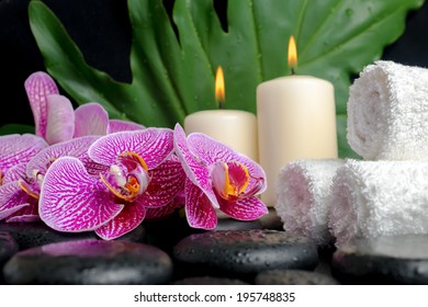 Beautiful spa concept of zen stones with drops, blooming twig of stripped violet orchid (phalaenopsis ), big green leaf  and stacked of towels and candles