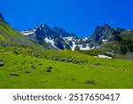 Beautiful spacious landscape. Snowy mountains between blue sky and green field  and meadows from the top of the mountain