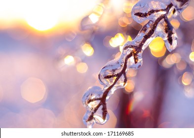 Beautiful Sparkling Winter Scene