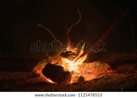 Similar – Foto Bild Lagerfeuer im Wald Freude