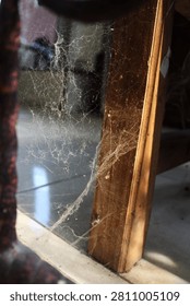 Beautiful spiders web in window with sun light in nature. cobweb among home furniture in the light. 