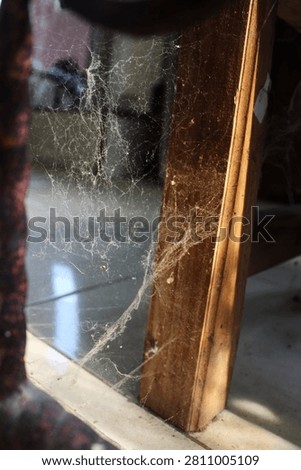 Beautiful spiders web in window with sun light in nature. cobweb among home furniture in the light. 