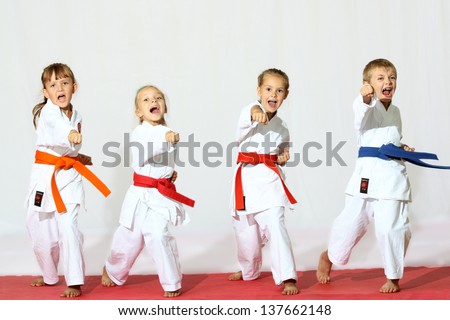 Beautiful sport karate kids