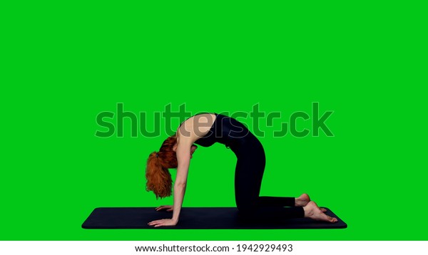 Beautiful\
sporty woman in black bodysuit doing cat and cow stretch during\
yoga practice against green screen\
background
