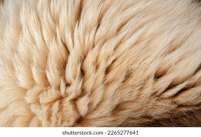 Beautiful spotted fur close-up. Texture of brown animal wool. Dog fur. - Shutterstock ID 2265277641