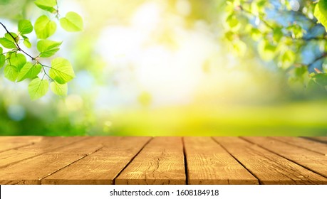 Beautiful spring background with green juicy young foliage and empty wooden table in nature outdoor. Natural template with Beauty bokeh and sunlight.