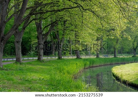 Beautiful spring background with pathway through the wood, Young green leaves on the tree, Rows of tree trunk along the walkways and canal, Amsterdamse Bos (Forest) Amstelveen, Amsterdam, Netherlands.