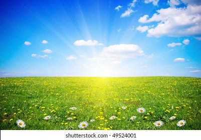 Beautiful Spring Field With Flowers In Sunlight