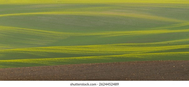 Beautiful spring fields in the Oder river valley in Brandenburg, Germany