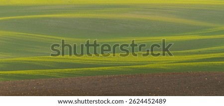 Beautiful spring fields in the Oder river valley in Brandenburg, Germany