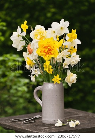 Beautiful spring flowers bouquet of different sorts of daffodils white, yellow, double flowers in stone mug in the cottage garden. Selective focus.