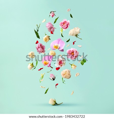 Beautiful spring flowers flying in the air, against teal background; Creative spring floral layout. Minimal birthday, valentines or wedding concept.
