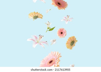 Beautiful spring flowers on a pastel blue background. Romantic aesthetic natural concept.