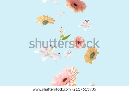 Beautiful spring flowers on a pastel blue background. Romantic aesthetic natural concept.