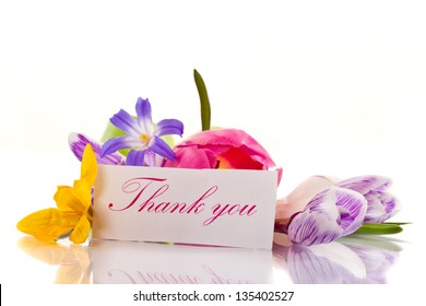 beautiful spring flowers on a white background