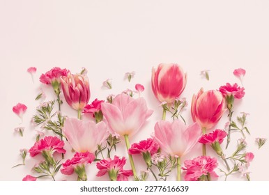 beautiful spring flowers on white  background - Powered by Shutterstock