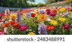 Beautiful spring garden. The green lawn emphasizes the blooming flowers in the garden. A diverse spectrum of colorful flowers, panoramic views of natural beauty