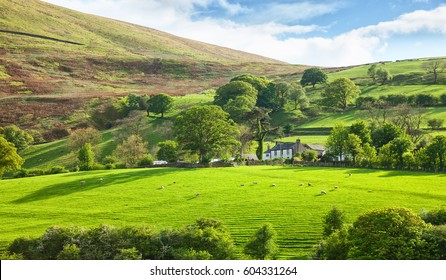  Beautiful spring landscape in Lake District National Park, Cumbria, England, UK