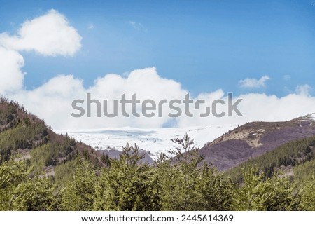 Beautiful Spring Landscape with Pine Trees and Clouds . Vitosha Mountain ,Bulgaria 