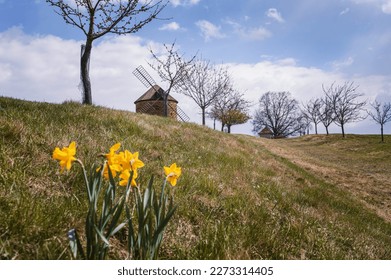 Beautiful spring panorama landscape with old windmill at sunset and beautiful blue sky with clouds. Colorful nature background on spring season. Chvalkovice - Czech Republic.