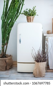 Beautiful Spring Photo Of Kitchen Interior In Light Textured Colors. Kitchen With An Old White Refrigerator, A Large Cactus In Rustic Style.