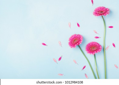 Beautiful Spring Pink Flowers On Blue Pastel Table Top View. Floral Border. Flat Lay Style.