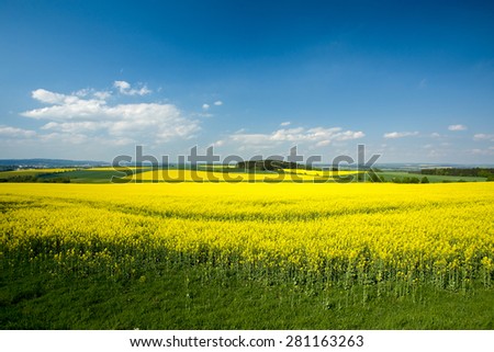 Beautiful spring rural landscape with rape field and blue sky