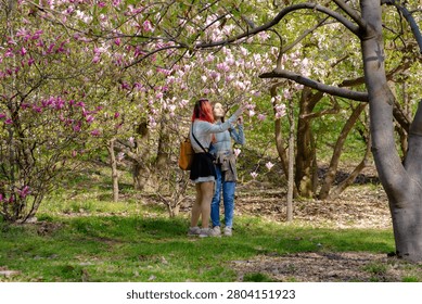 A beautiful spring scene featuring two young women capturing memories on their smartphones amidst lush, flowering magnolia trees in a vibrant city park.