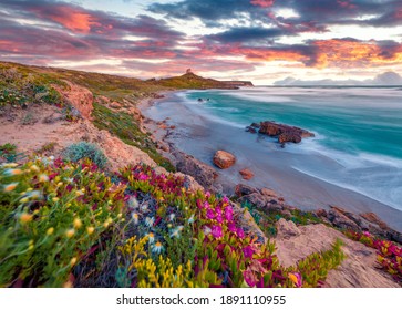 Beautiful spring scenery. Colorful morning scene of Sardinia, Italy, Europe. Fantastic sunrise on Capo San Marco Lighthouse on Del Sinis peninsula. Picturesque seascape of Mediterranean sea. - Powered by Shutterstock