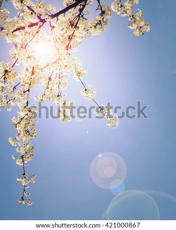 Similar – Image, Stock Photo spring III Nature Sky