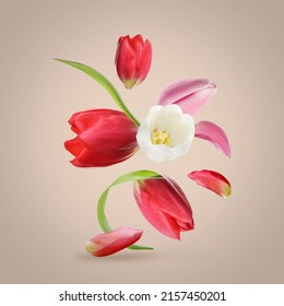 Beautiful spring tulips flying on light background - Shutterstock ID 2157450201