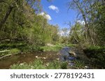 Beautiful spring view of a small stream flowing through a lush green forest on a sunny day at Pewit’s Nest, near Baraboo, Wisconsin.