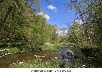 Beautiful spring view of a small stream flowing through a lush green forest on a sunny day at Pewit’s Nest, near Baraboo, Wisconsin.