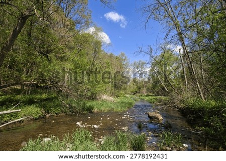 Beautiful spring view of a small stream flowing through a lush green forest on a sunny day at Pewit’s Nest, near Baraboo, Wisconsin.