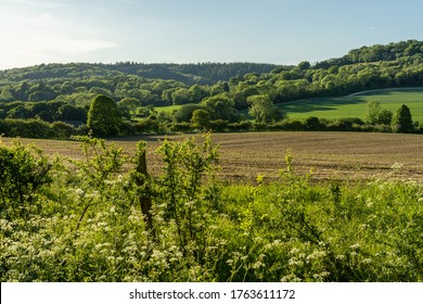 Beautiful Spring Views Of The Surrey Hills