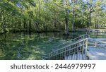 Beautiful springs at Ponce de Leon State Park. 