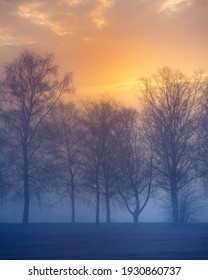 A beautiful springtime dawn landscape before the sunrise. Soft, diffused light over the rural scenery during spring. Misty landscape of Northern Europe.