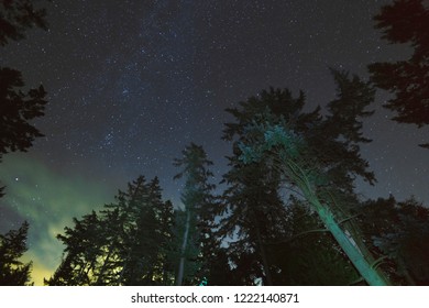 Beautiful star scenes and the milky way through the Salish Sea and Bowen Island in the Pacific North West.  Fine art photography for home and office decor - Powered by Shutterstock