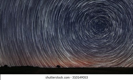 Beautiful Star Trails over filed with lonely tree. Beautiful night sky. - Shutterstock ID 310149053