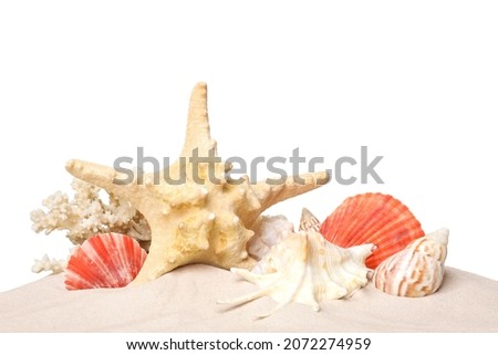 Beautiful starfish, coral and sea shells in sand on white background