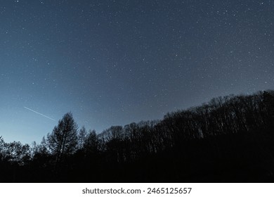 Beautiful starry sky seen in the forest - Powered by Shutterstock