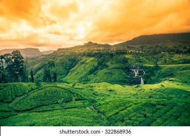 Beautiful St.clairs Waterfall Landscape In Sri Lanka
