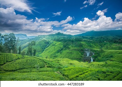 Beautiful St.clairs Waterfall Landscape In Sri Lanka