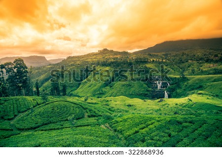 Beautiful st.clairs waterfall landscape in Sri Lanka
